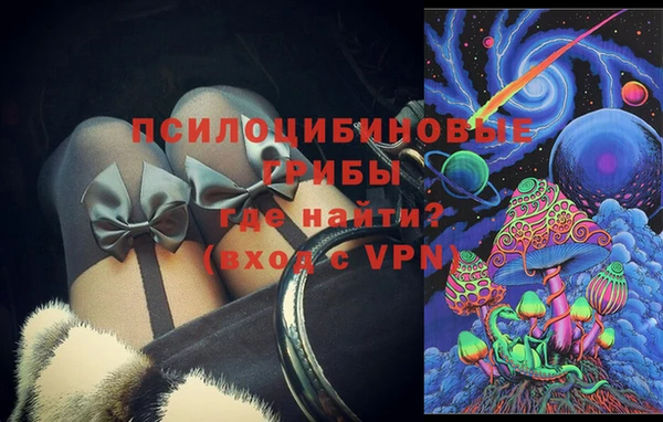 сатива Алексеевка