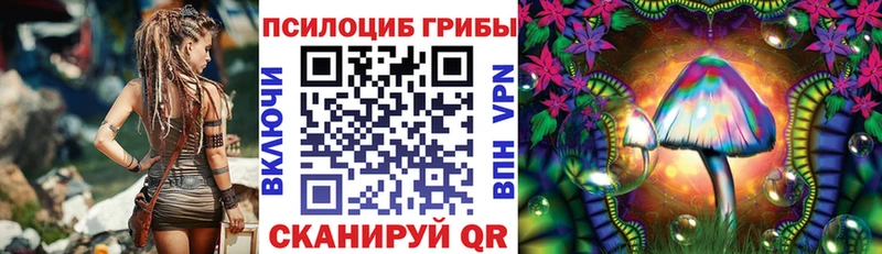 ОМГ ОМГ ССЫЛКА  Алексеевка  Галлюциногенные грибы мухоморы 