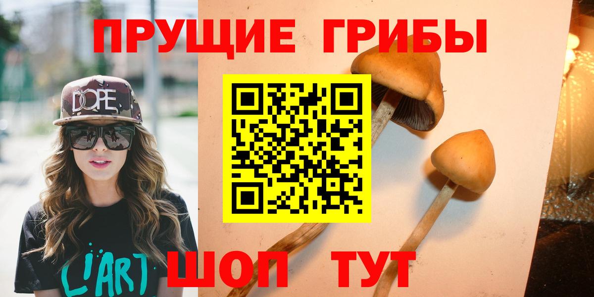 Псилоцибиновые грибы Psilocybine cubensis Алексеевка