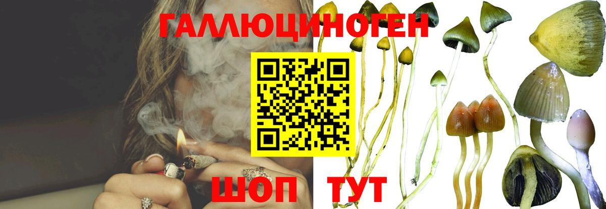 Алексеевка  Галлюциногенные грибы Psilocybine cubensis  Вход с VPN 